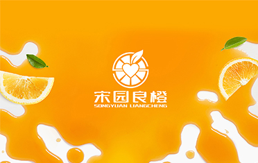 某良橙——白银LOGO设计